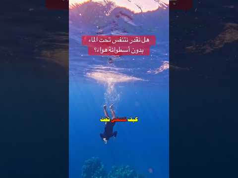 الطريقة الصحيحة للغوص الحر والمفهوم الخاطئ بحر اكسبلور
