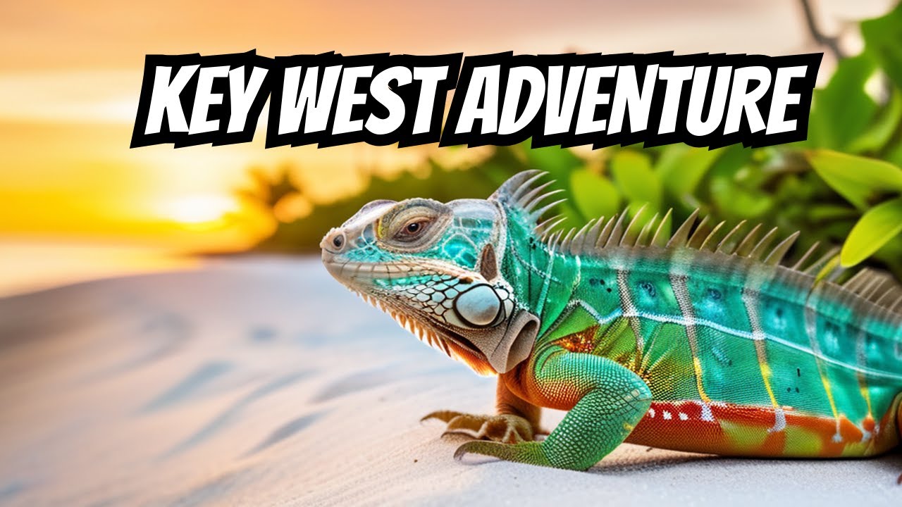 Escape to Iguana Land: Explore the Enchanting Key West, Florida