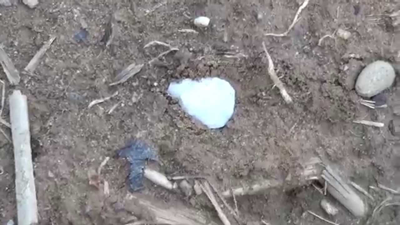 Arrowhead Hunting PA 6/11 & 6/23 2014 YouTube