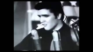 Cowboy Junkies - &quot;Blue Moon Revisited (Song For Elvis)&quot; (Legendas Em Português)