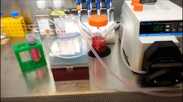 Membrane-less microfiltration using inertial microfluidics