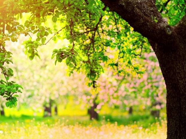 Watch Stay by Herb Frombach and Vicki Tucker Courtney on YouTube Watch Stay by Herb Frombach and Vicki Tucker Courtney on YouTube