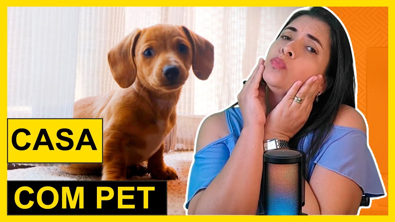 Decoração PET-FRIENDLY que vai MUDAR sua casa?
