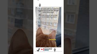 Camdan Cama Date 😂