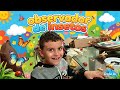 Observador de Insetos