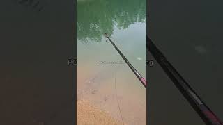 POV: the bass arent biting #fishing #shorts