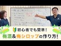 【梅酒・梅シロップの作り方】切り込みとハチミツでおいしさアップ！簡単でおいしい！(*‘∀‘)【準備編】