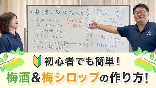 【梅酒・梅シロップの作り方】切り込みとハチミツでおいしさアップ！簡単でおいしい！(*‘∀‘)【準備編】