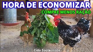 GASTE MENOS COM RAÇÃO.  A HORA É AGORA.