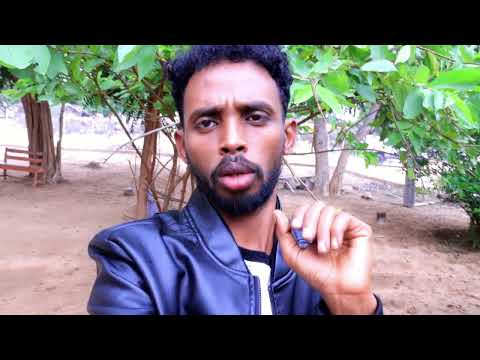 Jabhadaha Ay Saamaysteen Belaha Isaaq Maxay Kadhaheen Beelaha Gobalada Galbeedka Somalilan 