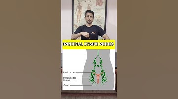 Best Exercise for Swollen Lymph Node in Groin Region Relief #shorts #tranding