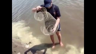 Ловля жереха Ловля жереха