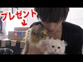 視聴者さんから贈られてきた猫グッズにヤバいものが･･･