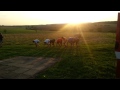 Beginning of video