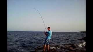 Fishing in Fuerteventura - Stingray on Spinning Gear - Chucho con Equipo de Spinning