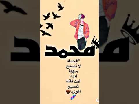 صايرين زلم وتضربون والله محد سواكم زلمه غير حمودي 