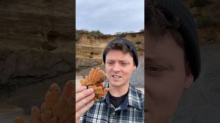 Rescuing HUGE SpongeBob in Real Life! #shorts Wealth