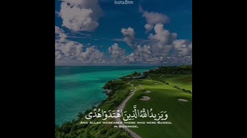 ايات القرآن الكريم تلاوة خاشعة - مقاطع انستغرام دينية راقية