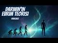 Darwin'in Evrim Teorisi | Podcast Evrim101
