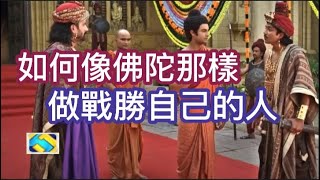 87 佛陀的故事37 什么是戰勝自已的人 什么是自由意志 對治抑郁癥最好的方法是正念 行禪 坐禪