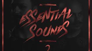 Retrohandz Essential Sounds 2 (Samples & Loops) Retrohandz Essential Sounds 2 (Samples & Loops)