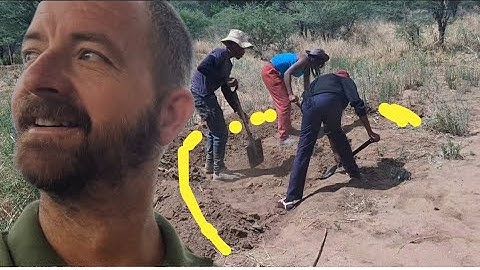 African Smiles, Sick Pigs & Fresh Cover Crops — Our Real Farm Life