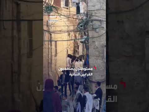 مستوطنون يؤدون طقوسًا في المسجد الأقصى خلال عيد العرش
