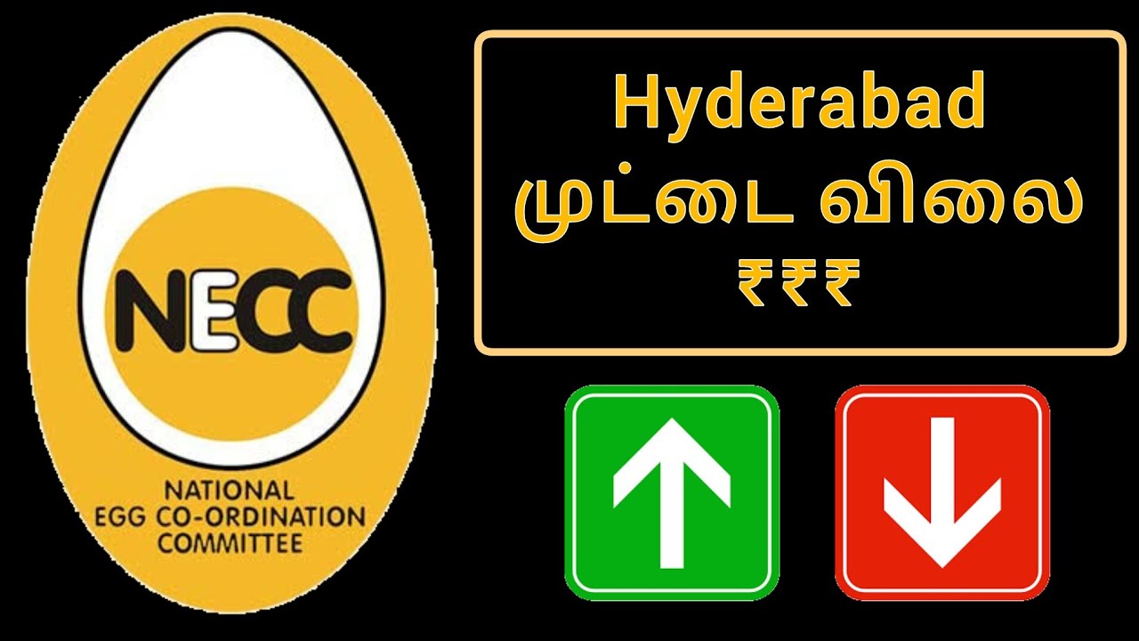 Hyderabad NECC Egg Rate Today 29 September 2023