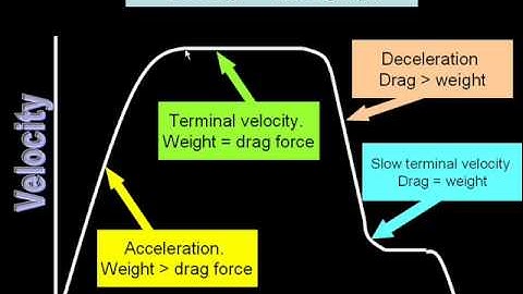 terminal velocity graph