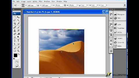 Photoshop CS3 Basics - Scale & Rotate