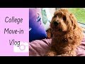 COLLEGE MOVE-IN VLOG || with a service dog