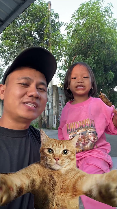 anak kucing meong-meong #videoshorts #shortvideo