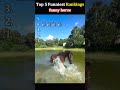 funny horse#top5 #funnychat #viralcomedy #relatablemoments #funnybants #shortscompilation