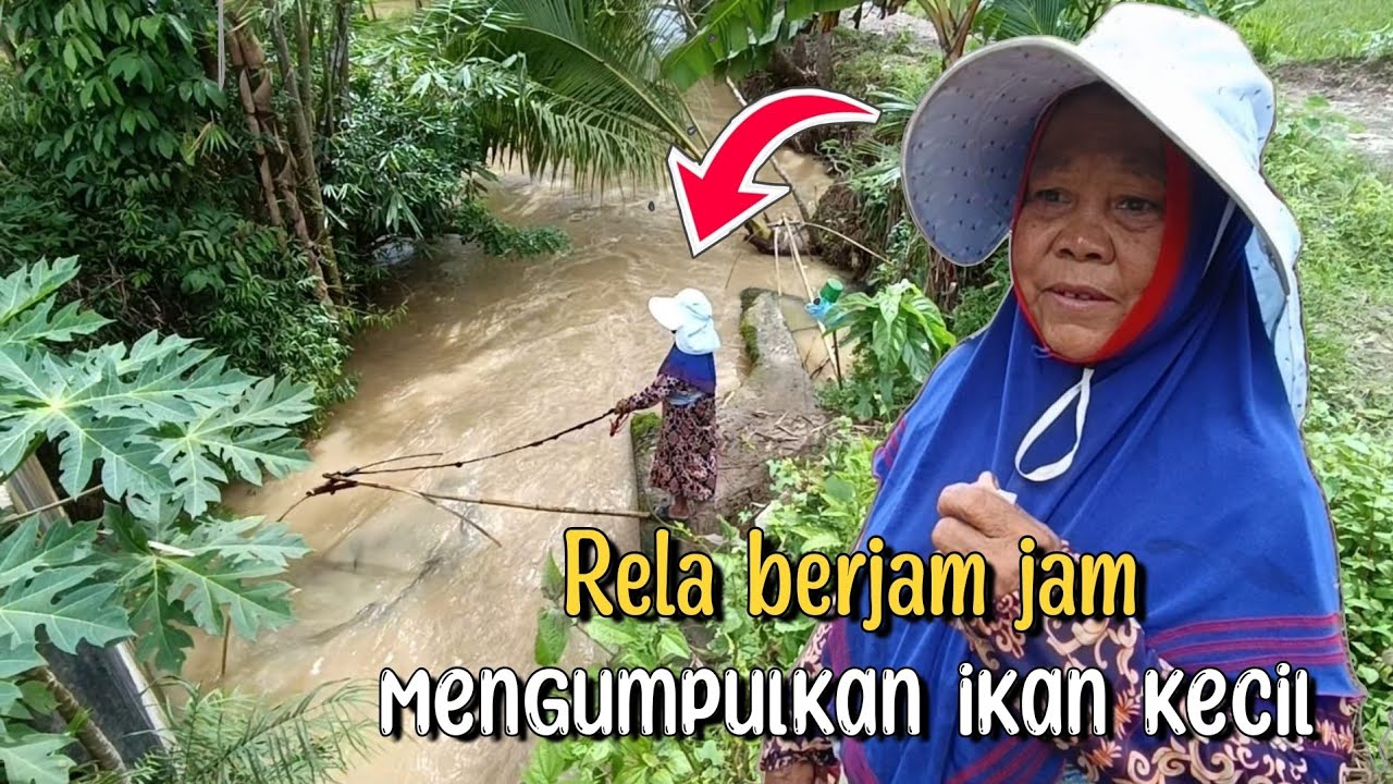DEMI KEBUTUHAN IBU INI RELA BERJAM JAM MENGUMPULKAN IKAN KECIL DARI KALI