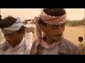 Amazing 6 Camels Jumping (only in Arab Yemen)
