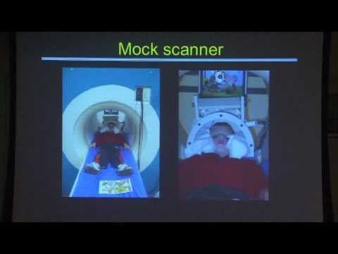 Daniel Dilks: What Can Brain Imaging Tell Us About...