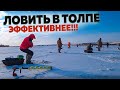 ТОЛПА МЕШКУЕТ СУДАКА! Рыбалка на Дону! Ловля судака! Рыбалка с эхолотом практик 6м