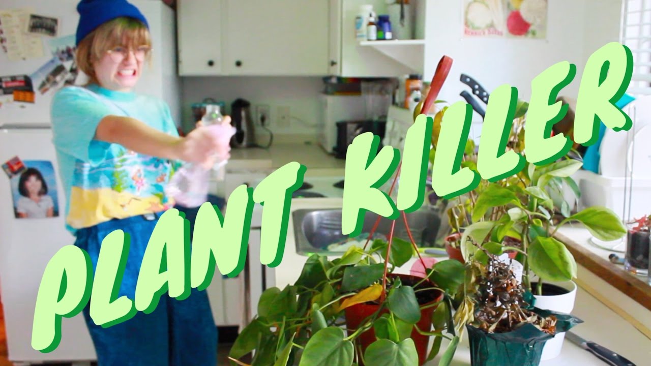 Late Bloomer, Plant Killer YouTube