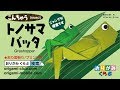 折り紙 Origami・とのさまばった Grasshopper