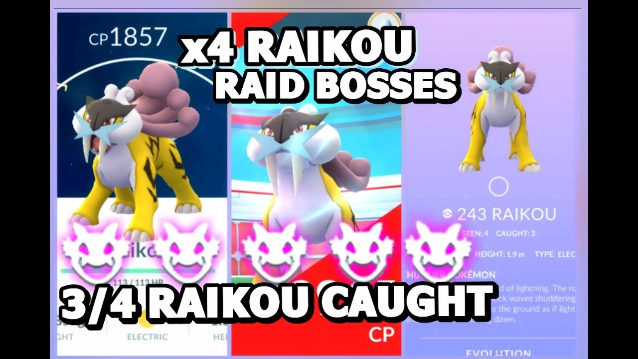 RAIKOU RAID BOSS x4 IN POKEMON GO | 1ST 