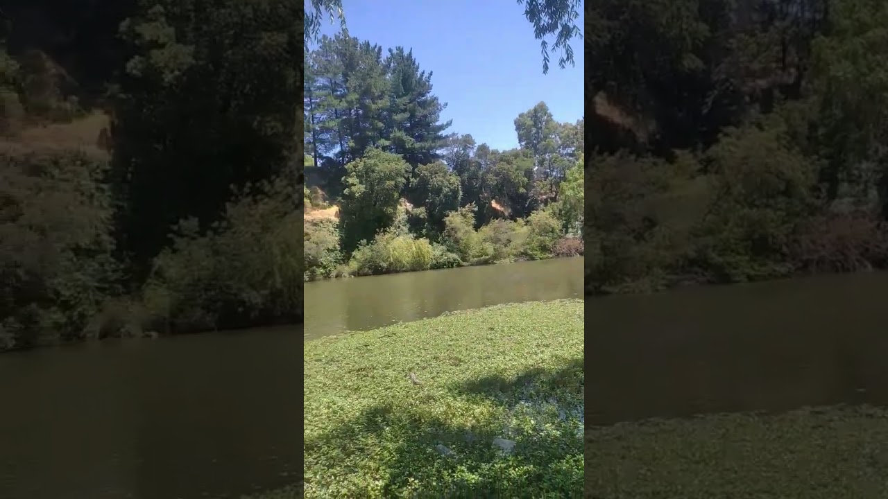 San Rafael, el Río Claro y su paz. #maule #primavera #chile #rio #paz #peces #nature #paz #natural