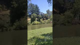 San Rafael, el Río Claro y su paz. #maule #primavera #chile #rio #paz #peces #nature #paz #natural