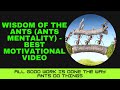 Wisdom Of The Ants (Ants Mentality)  - Best Motivational And Inspirational Video