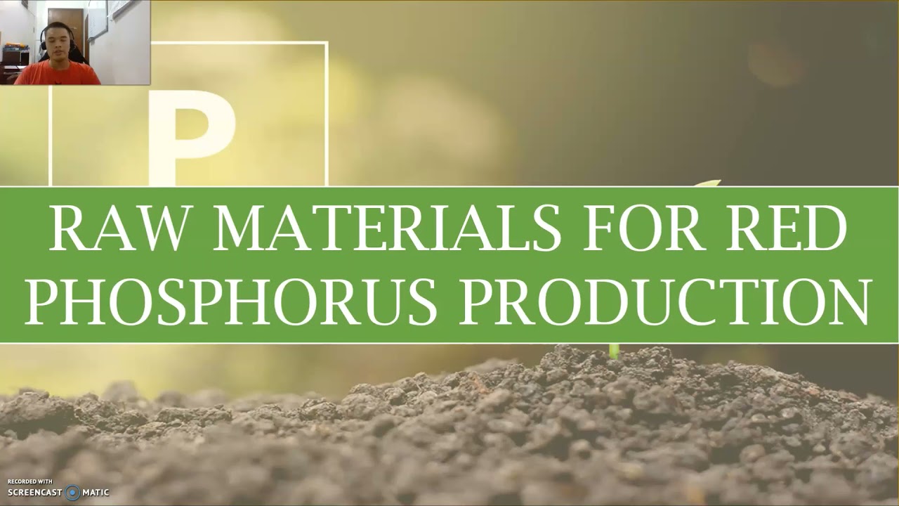 CH140_A41  ||  THE PHOSPHORUS INDUSTRY  ||  DAYAP, MALINIS, PACLIBAR, RAZON