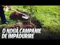 O nouă campanie de împădurire. Moldovenii sunt îndemnați să iasă pe 11 noiembrie la plantat copaci