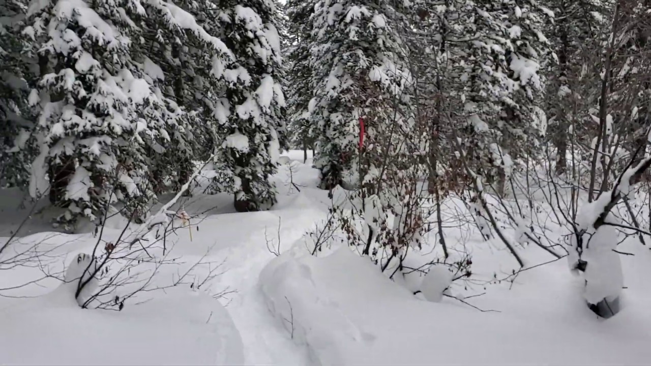 Snowshoeing at Solitude near Salt Lake City Utah YouTube
