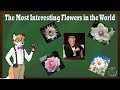 The Most Interesting Flowers in the World: Clever Fox Academy-Episode 4
