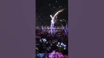 (في تلاوه مباركه) لِلَّذِينَ أَحْسَنُوا الْحُسْنَىٰ وَزِيَادَةٌ"(سورة يونس: 26)#quran #quranreaction