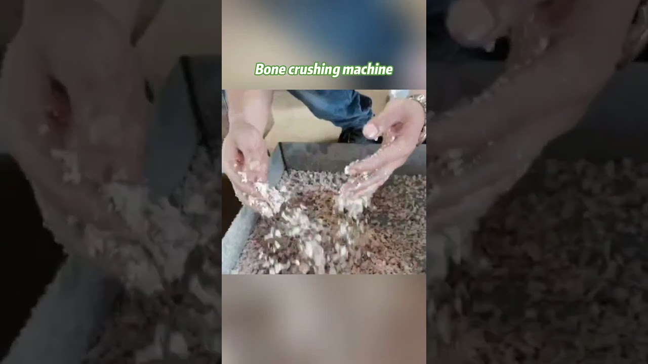 Crush Animal Bones Fast & Clean | Gondor Commercial Bone Crusher for Food Industry 