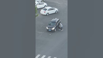 Unexpected Twist! A Girl’s Quick Thinking Inspires Respect#ShortFilm#Courage#Inspiration#Original